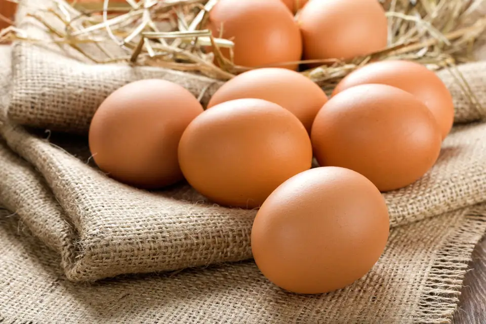 50 soft foods to eat after dental surgery - Eggs